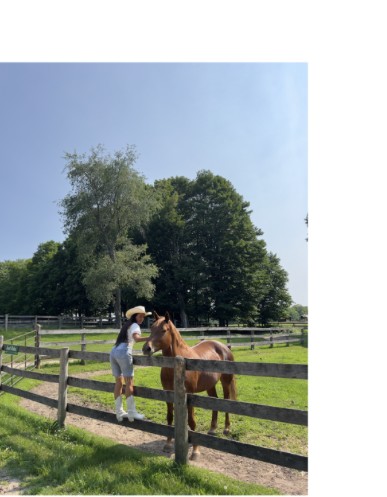 Dr. Emilie Vos with a horse at Glen Oro Farm